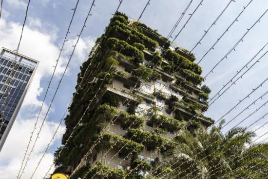 Country Garden: Η υπερχρεωμένη εταιρεία ακινήτων αποφεύγει, προς το παρόν, τη στάση πληρωμών