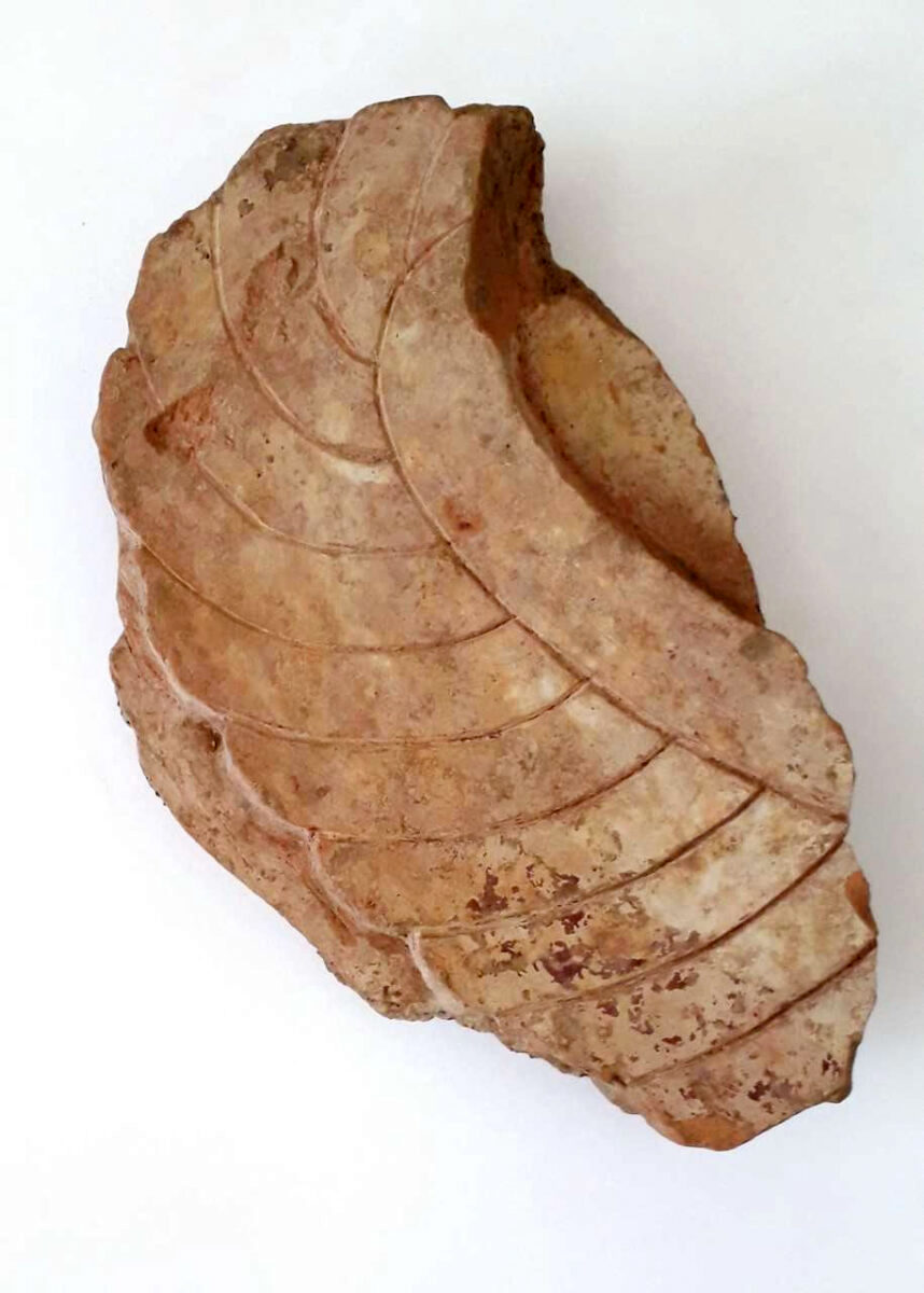 Πήλινο φτερό μυθικής μορφής προερχόμενο από αρχιτεκτονικό ανάγλυφο, πιθανώς αέτωμα ναού του 560 -550 π.Χ