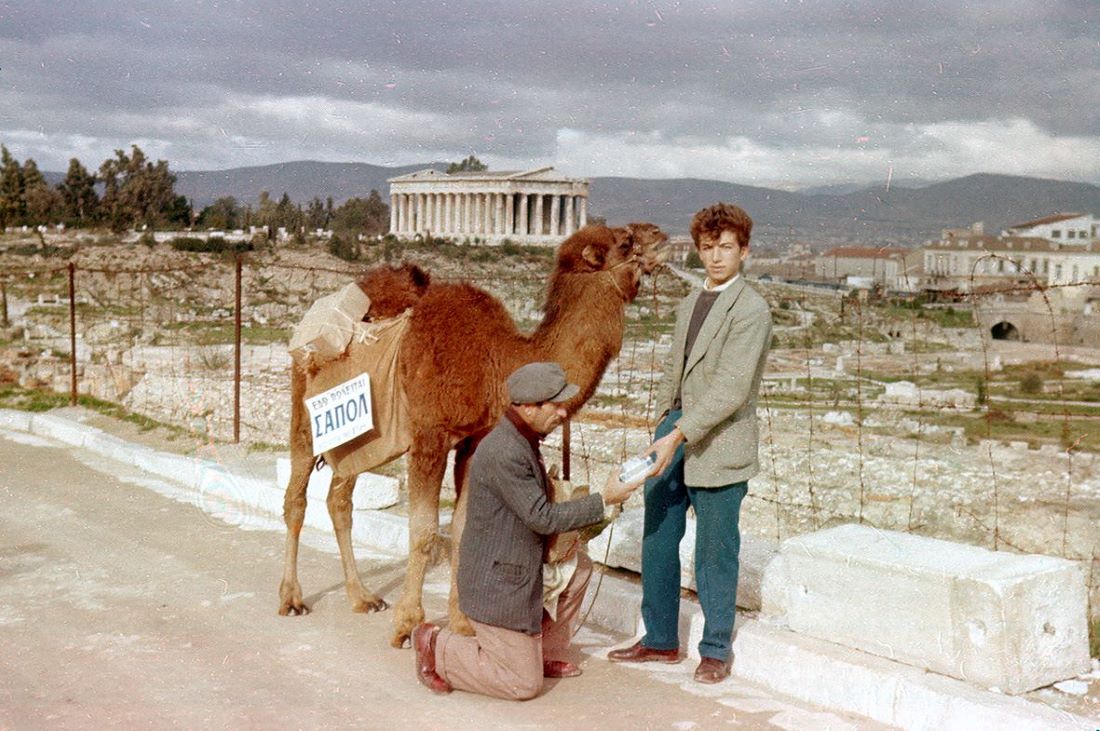 Καμήλα στην οδό Αστεροσκοπείου, 1957.Από το 1954 πλανόδιος πωλητής της Αθήνας κυκλοφορούσε με καμήλα, πουλώντας φιαλίδια με το υγρό σαπούνι «ΣΑΠΟΛ»