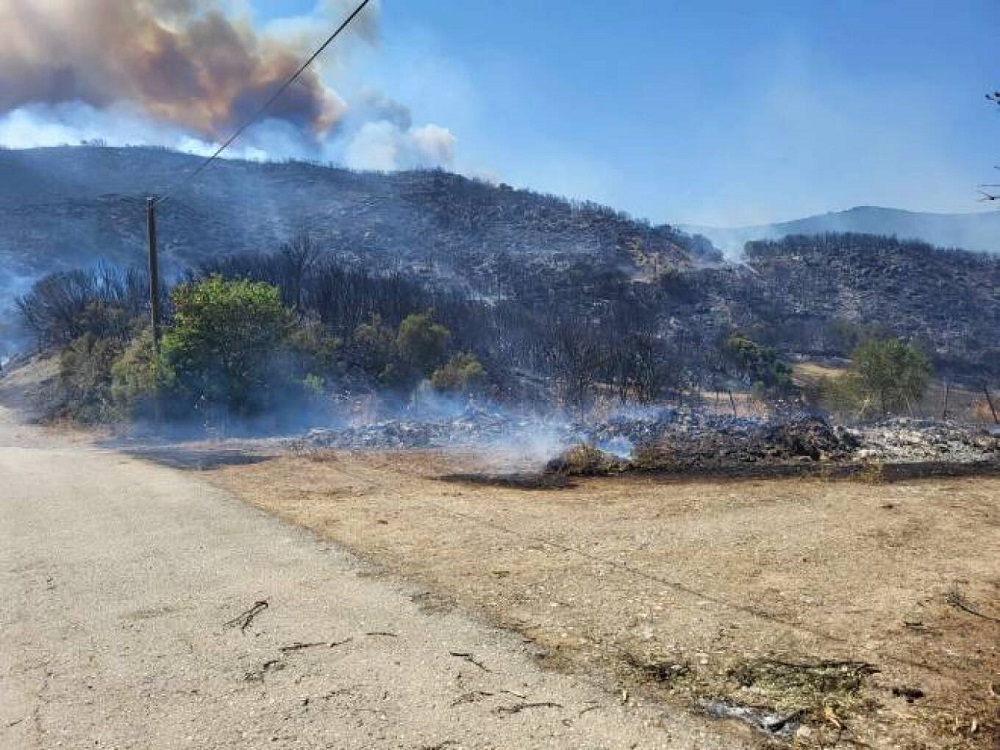 Μαίνεται η φωτιά που ξέσπασε σε δασική έκταση στην περιοχή Μαστραντώνη, του δήμου Ερυμάνθου
