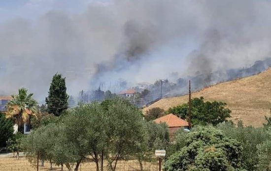 Φωτιά ξέσπασε στο Ρέθυμνο: Καίει στην περιοχή Αγίου Βασιλείου – Μήνυμα 112