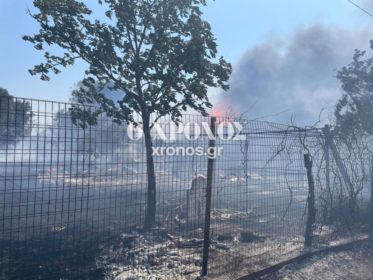 η πυρκαγιά στα Αμπελάκια Ροδόπης πηγή: xronos.gr