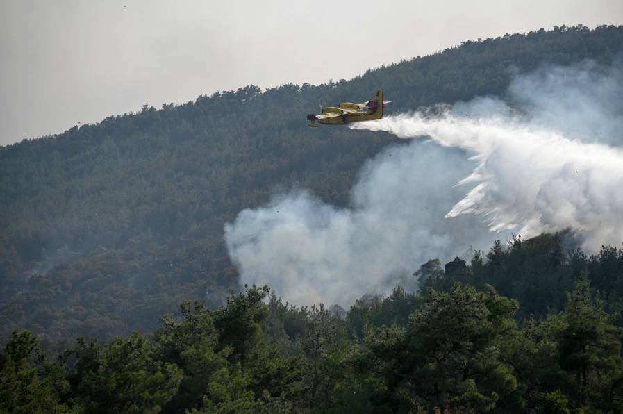 ΠΥΡΚΑΓΙΑ ΣΤΟ ΔΑΣΟΣ ΤΗΣ ΔΑΔΙΑΣ