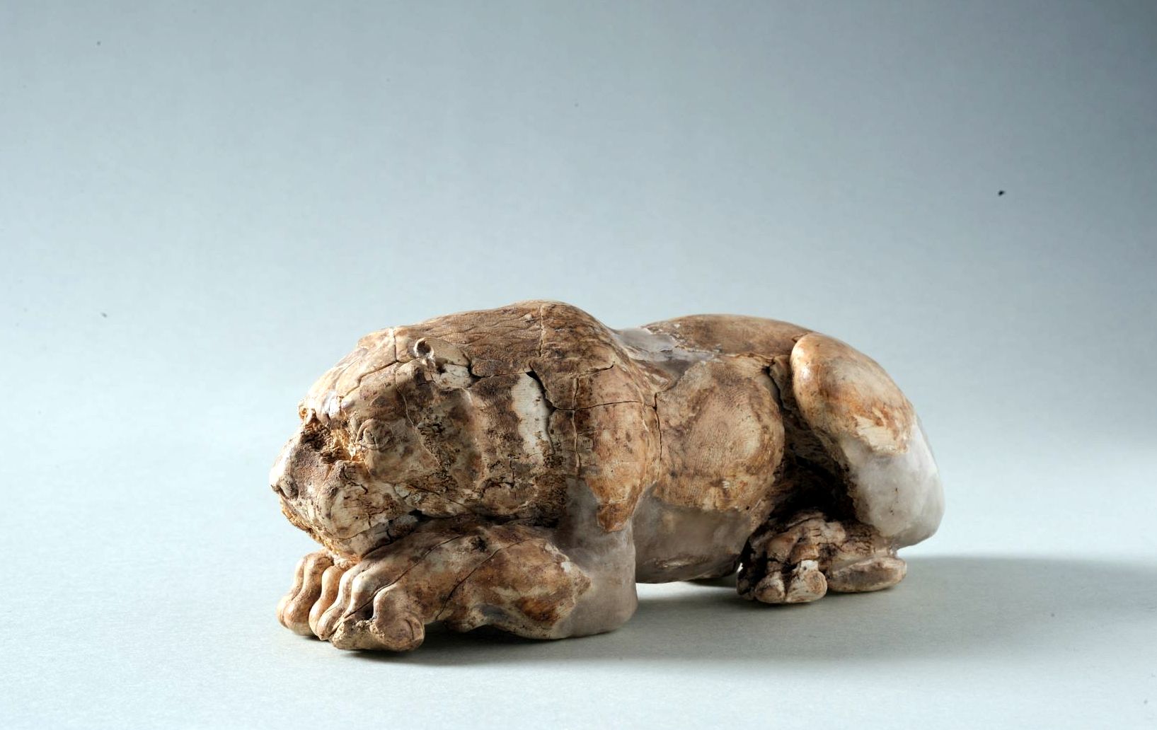 Ελεφαντοστέινο ομοίωμα λιονταριού (1250-1180 π.Χ.) φωτ. Κώστας Ξενικάκης
