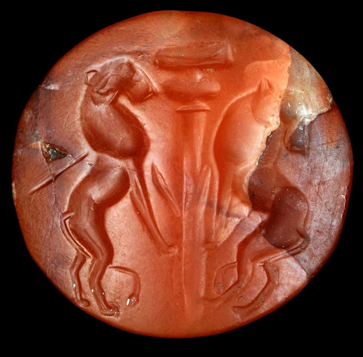Σφραγιδόλιθος από κορναλίνη με παράσταση λεόντων (1400-1300 π.Χ.), φωτ. Κώστας Ξενικάκης