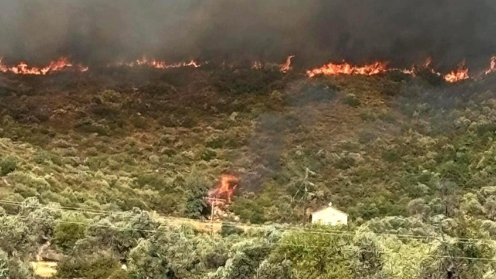 Φωτιά καίει δασική έκταση