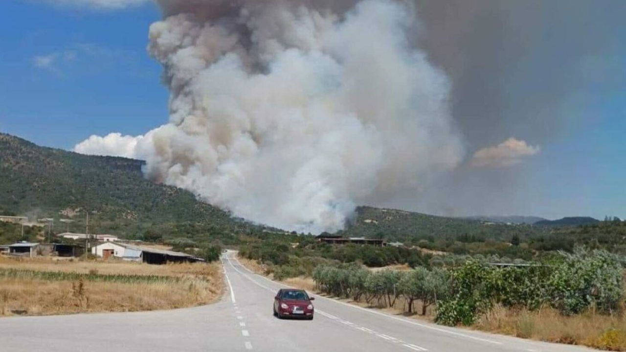 Φωτιά σε χαμηλή βλάστηση ξέσπασε το μεσημέρι του Σαββάτου στην περιοχή Νέα Σάντα Ροδόπης.