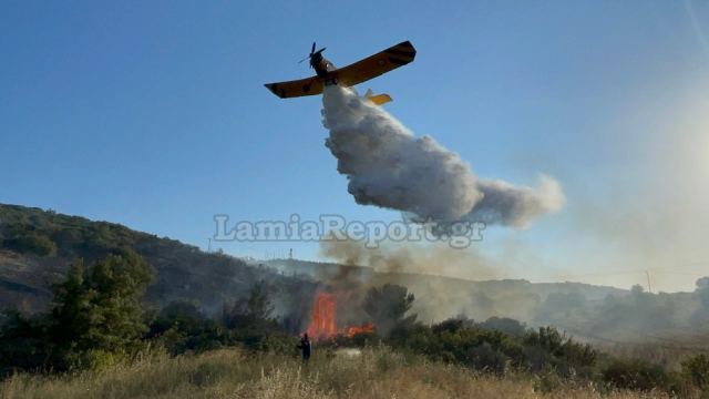η φωτιά στη Φθιώτιδα πηγή: lamiareport.gr