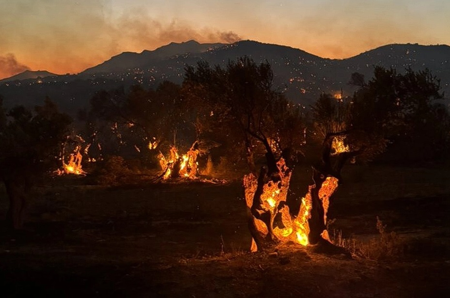 Πυρκαγιά στο Ρέθυμνο