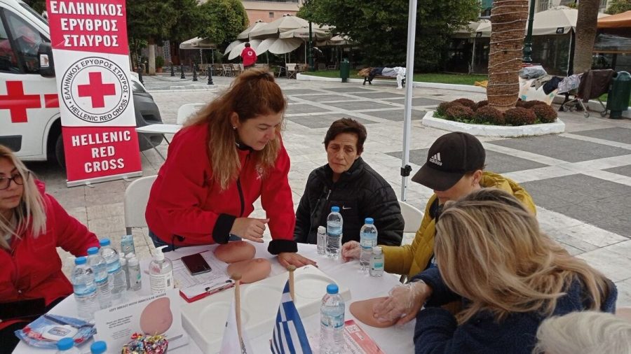 Ελληνικός Ερυθρός Σταυρός