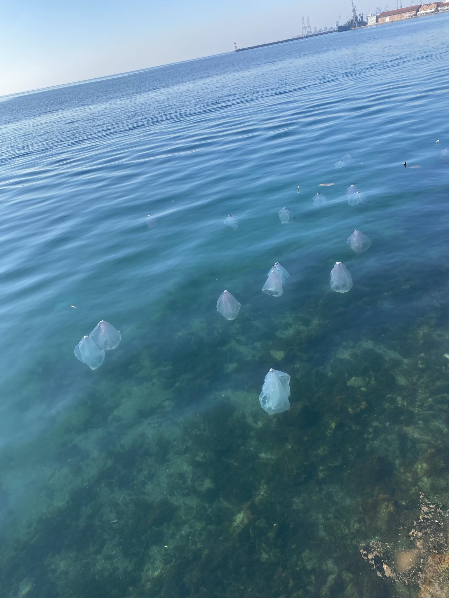 Σκουπίδια στον Θερμαϊκό