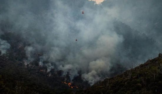 Κρήτη: Επιχείρηση της Πυροσβεστικής για πυρκαγιά στους Κουνάβους